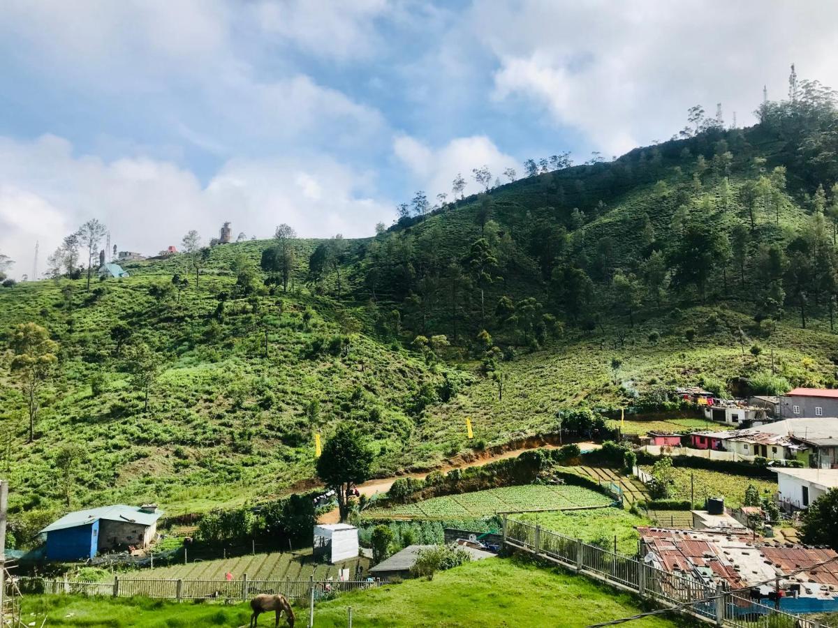 Queensland * Nuwara Eliya